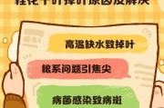 桂花叶子变红了的奥秘（揭开桂花叶子变红的神秘面纱）