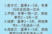 冬季花卉的浇水技巧（冬天如何科学浇水让花卉休眠更健康）