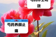 芍药花谢了怎么办？（保护芍药花的小窍门，延长花期）