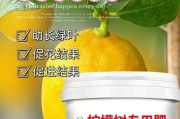 怎么正确地浇水柠檬树？（浇水方法与注意事项详解，避免引发病虫害）