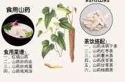 铁棍山药上市时间及成熟期分析（挖掘铁棍山药）