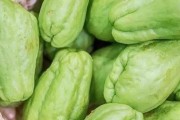 佛手瓜的营养价值和食用方法（探究佛手瓜的健康奥秘，打造健康饮食新选择）