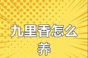 九里香施肥方法详解（为您揭秘九里香肥料使用秘籍）