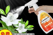 如何有效应对花卉中的小飞黑虫？（养花爱好者必看，教你应对花卉中的小飞黑虫）