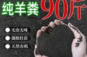 鸡蛋液能否用来浇花？（探究鸡蛋液在园艺中的作用及注意事项。）